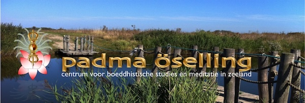 POL_banner