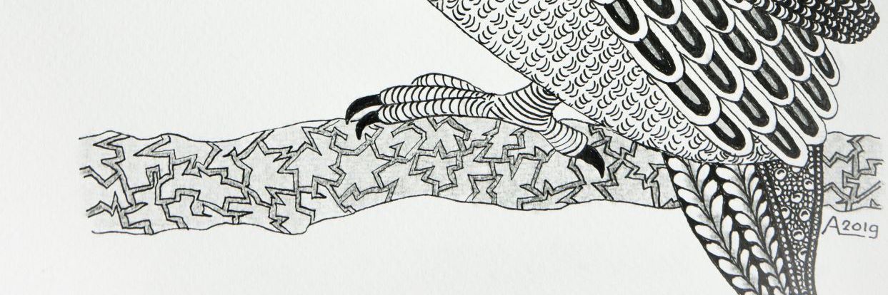 Anya_Langerak_Ijsvogeli_zendoodle_padma_banner3