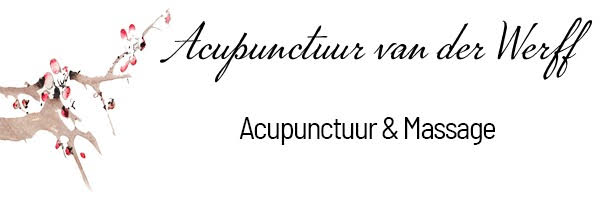 acupunctuur_van_der_werff