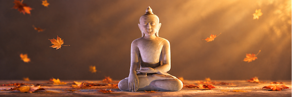 meditatie dag zipzen 600_1