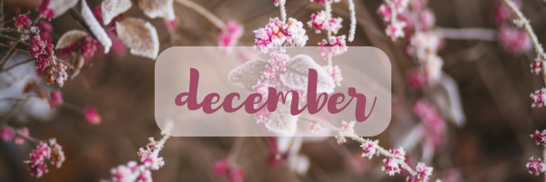 padma_hp_december2025_1