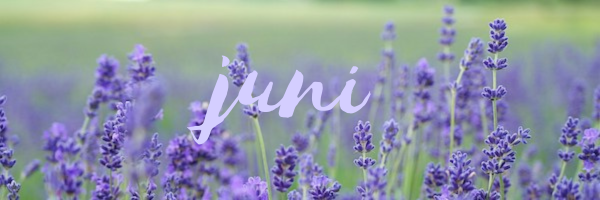 padma_hp_juni