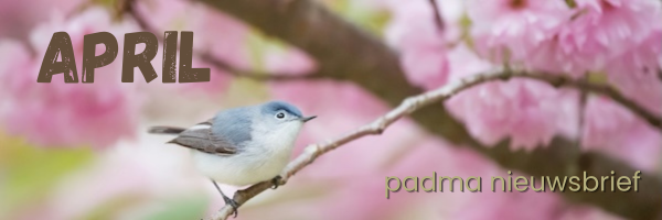 padma_nb_april