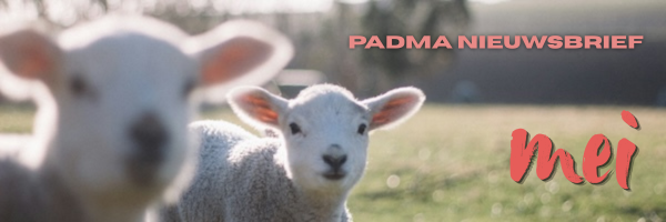 padma_nb_mei