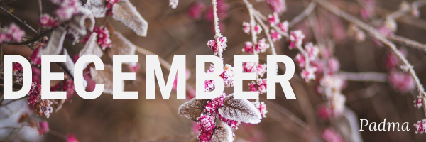 padma_december_hp