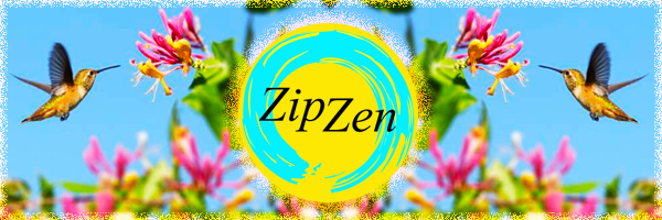 200527_ZipZan_LenteBanner