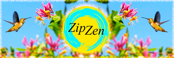 190322_ZipZan_LenteBanner