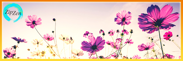 B_210513_ZipZen_ZomerBanner