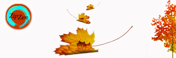 D_190810_ZipZan_HerfstBanner