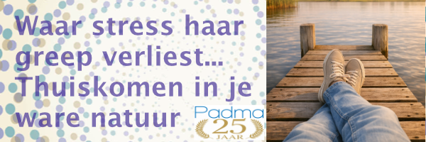 Headless_Karin_Amaranato