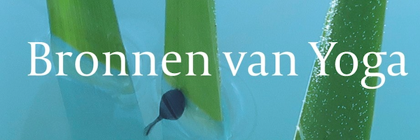 wim_van_der_laar_banner