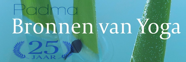 wim_van_der_laar_banner_P25